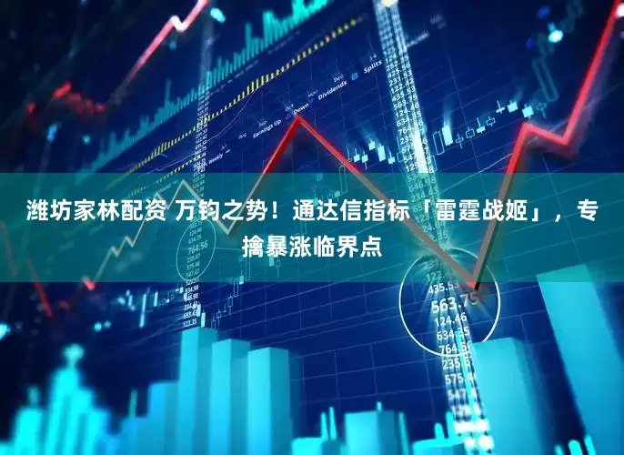 潍坊家林配资 万钧之势！通达信指标「雷霆战姬」，专擒暴涨临界点