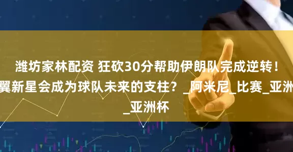 潍坊家林配资 狂砍30分帮助伊朗队完成逆转！侧翼新星会成为球队未来的支柱？_阿米尼_比赛_亚洲杯
