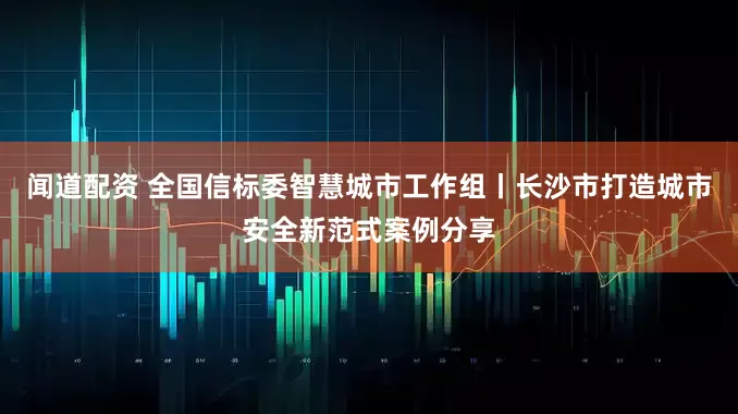 闻道配资 全国信标委智慧城市工作组丨长沙市打造城市安全新范式案例分享